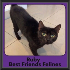 2019-Ruby