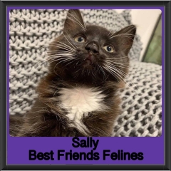 2019 - Sally