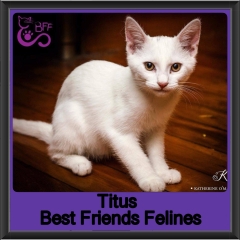 2019 - Titus