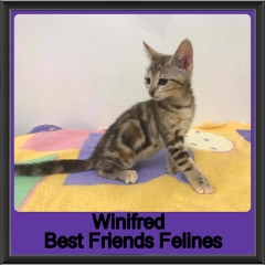 2019 - Winifred