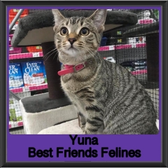 2019 - Yuna