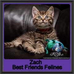 2019-Zach