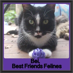 2018 - Bei