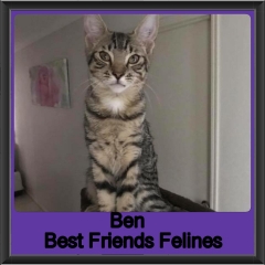 2018 - Ben1