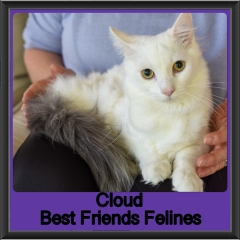 2019-Cloud2