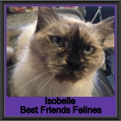 2019 - Isobelle