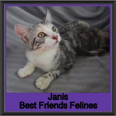 2019 - Janis