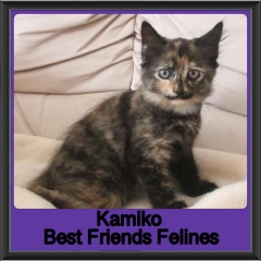2019-Kamiko