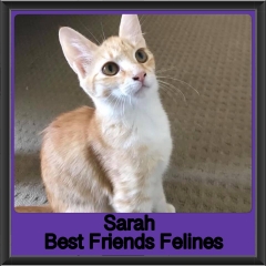 2019 - Sarah