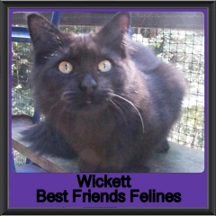 2019-Wickett1