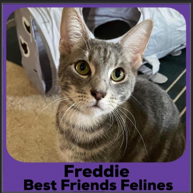 1_2023-Freddie