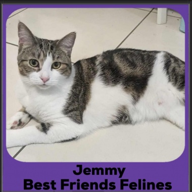 1_2024-Jemmy