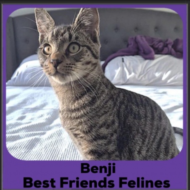 1_Benji-2025 1_Benji-2025