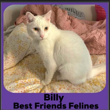 1_Billy-2026