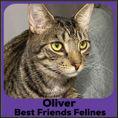 2022-Oliver