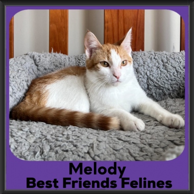 2023-Melody