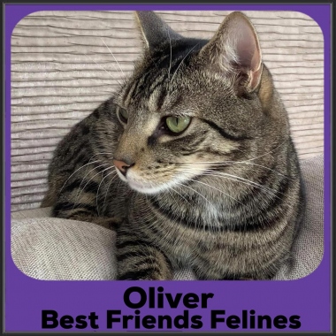2023-Oliver