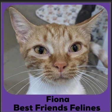 2024-Fiona