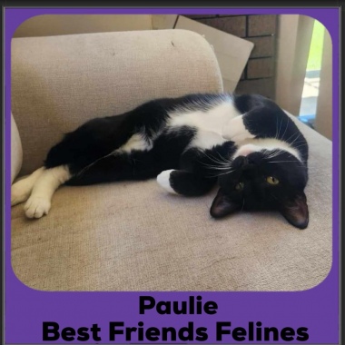 2024-Paulie