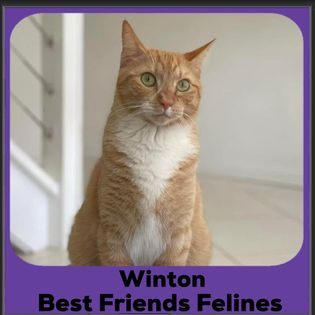 2024-Winton