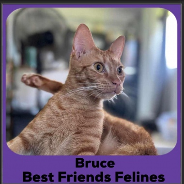 2023-Bruce3