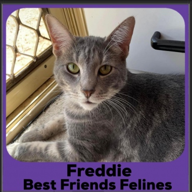2_2023-Freddie