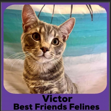 2_2023-Victor