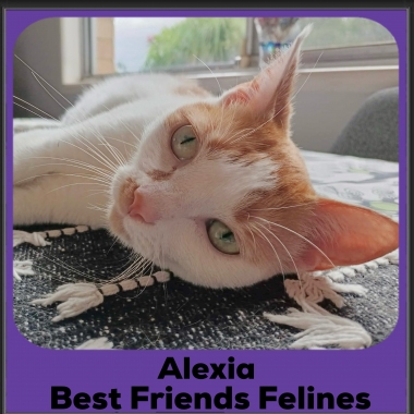 Alexia-2025a Alexia-2025a