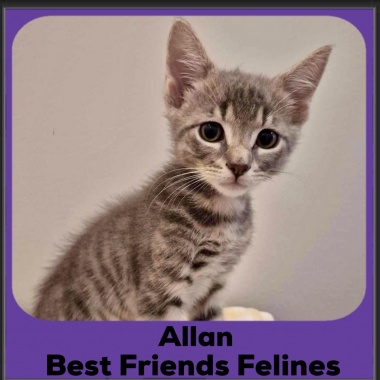 Allan