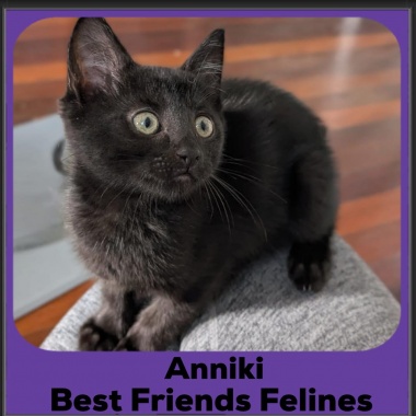 Anniki