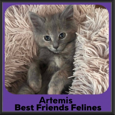 Artemis-2026 Artemis-2026