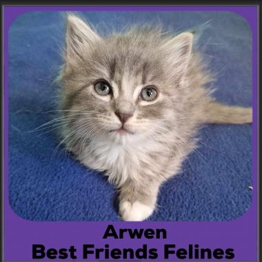 Arwen