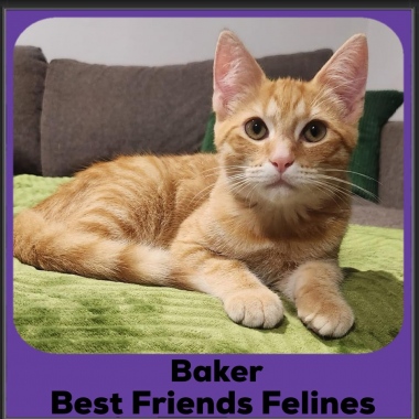 Baker