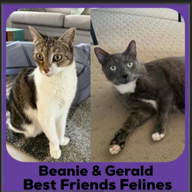 Beanie-Gerald-2026