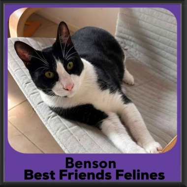 Benson-2026b