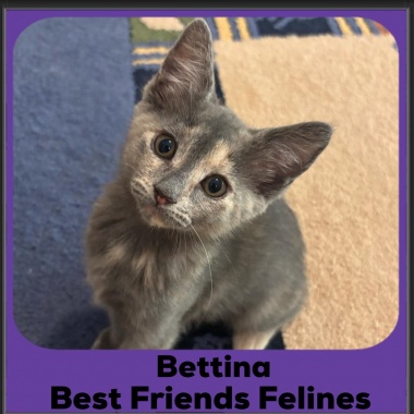 Bettina-2025 Bettina-2025