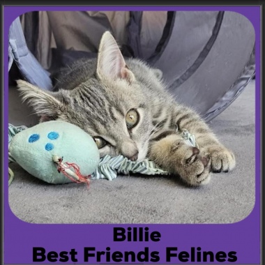 Billie