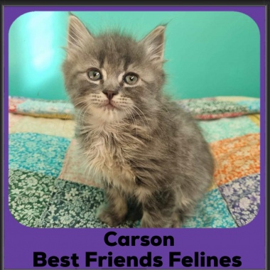 Carson
