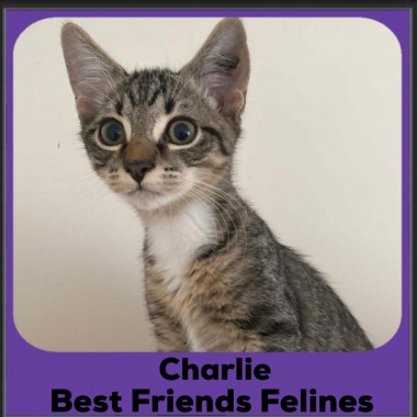 Charlie