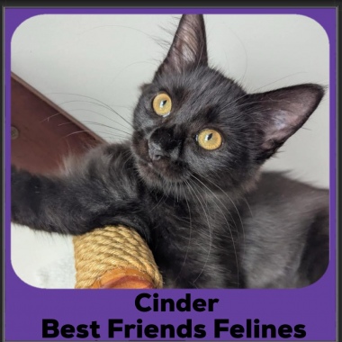 Cinder2