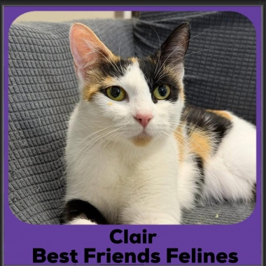 Clair-2025 Clair-2025