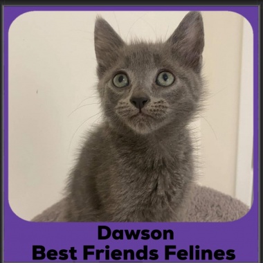 Dawson