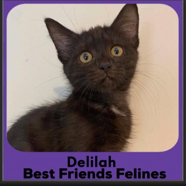 Delilah-2026 Delilah-2026