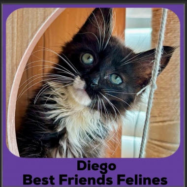 Diego
