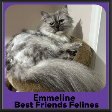 Emmeline-2026 Emmeline-2026