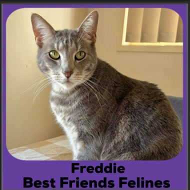 Freddie-2025