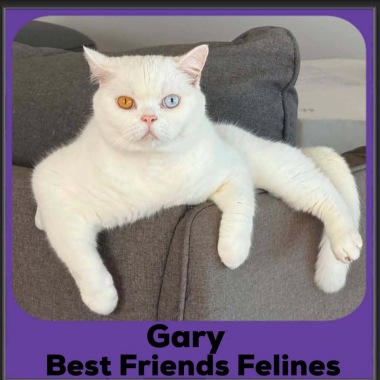 Gary-2026 Gary-2026