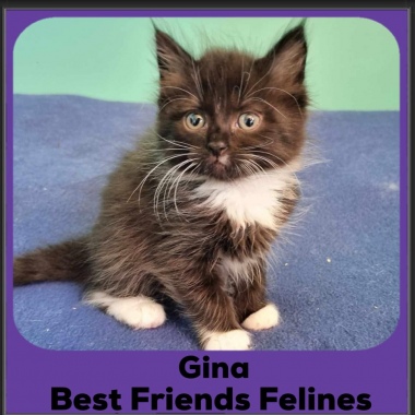 Gina