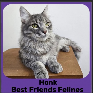Hank-2025