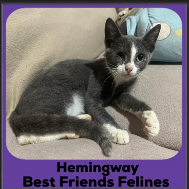 Hemingway